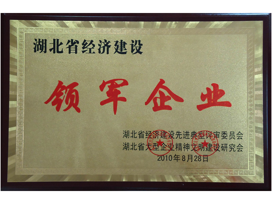 2010年領軍企業