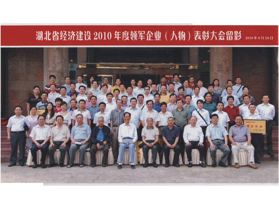 2010年度領軍企業（人物）表彰大會